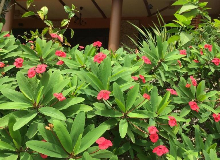 בית מלון כפרי Nyore Hillside Retreat