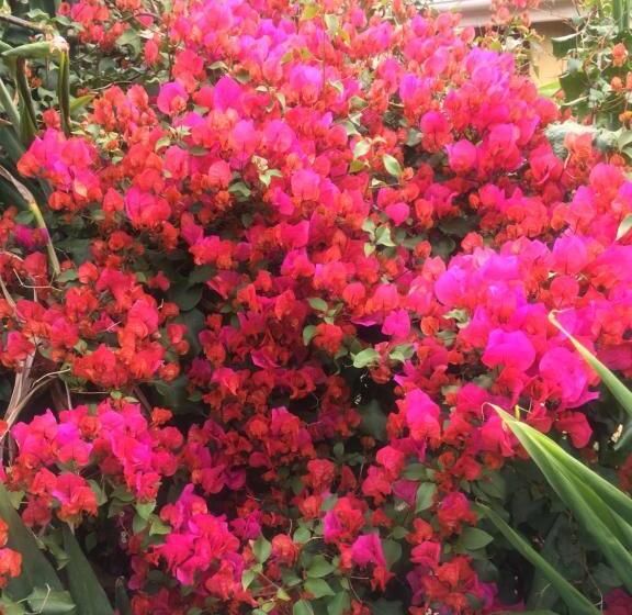 בית מלון כפרי Nyore Hillside Retreat