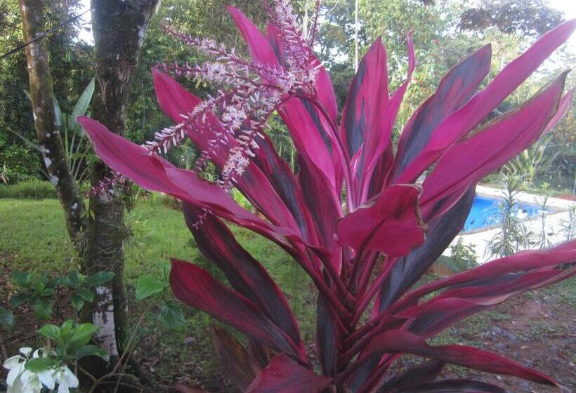 Отель Oasis De Las Palmas