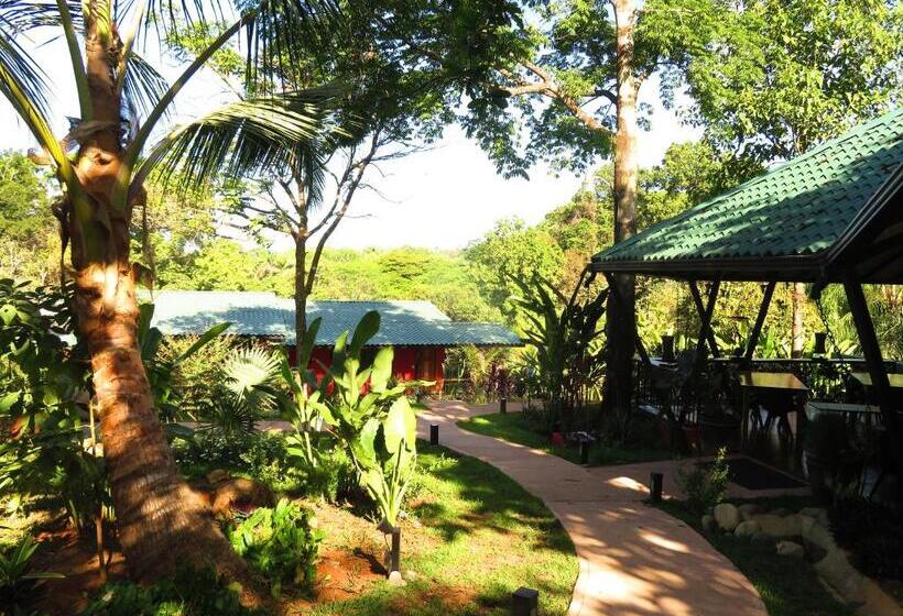 Отель Oasis De Las Palmas