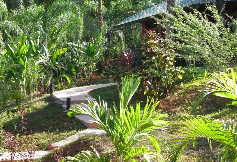 Отель Oasis De Las Palmas