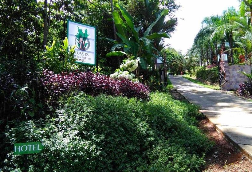 Отель Oasis De Las Palmas