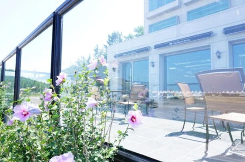 Pinebeach Hotel Pohang