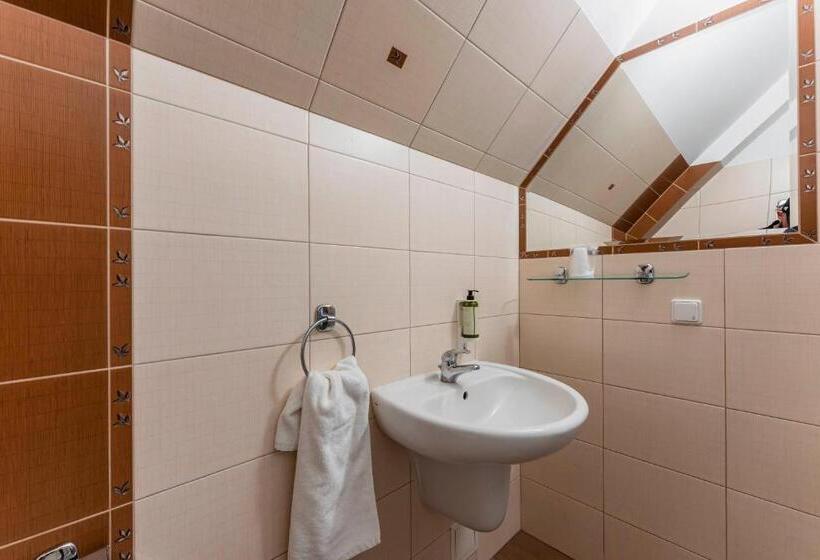 Отель Pod Kasztanami