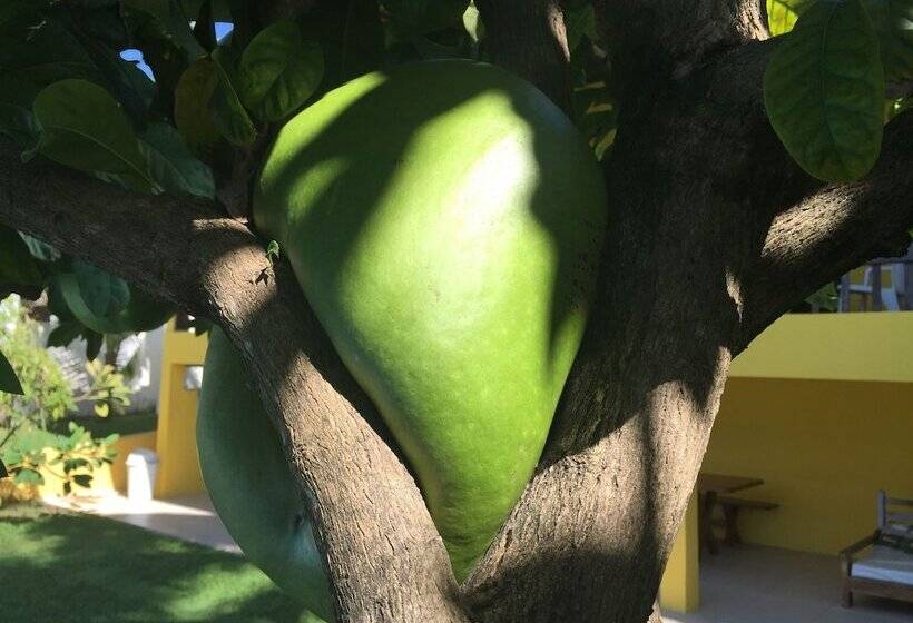 酒店 Pousada Villa Simone