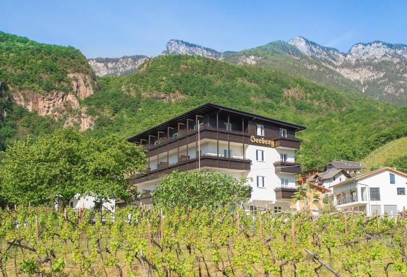 בית מלון כפרי Seeberg Garni