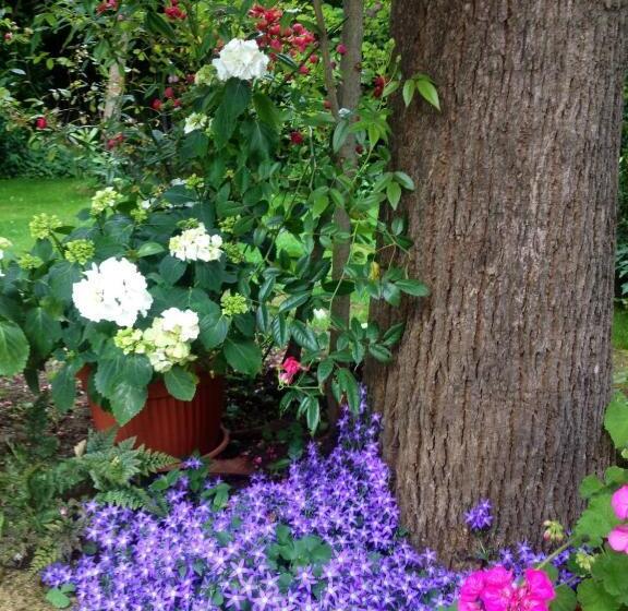 فندق Villa La Fonte