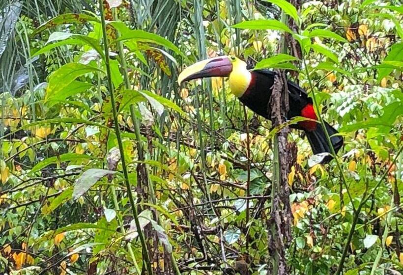 La Palapa Hut Nature Hostel