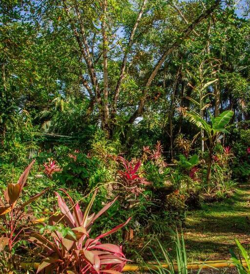 La Palapa Hut Nature Hostel