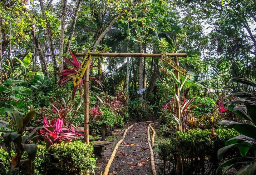 La Palapa Hut Nature Hostel