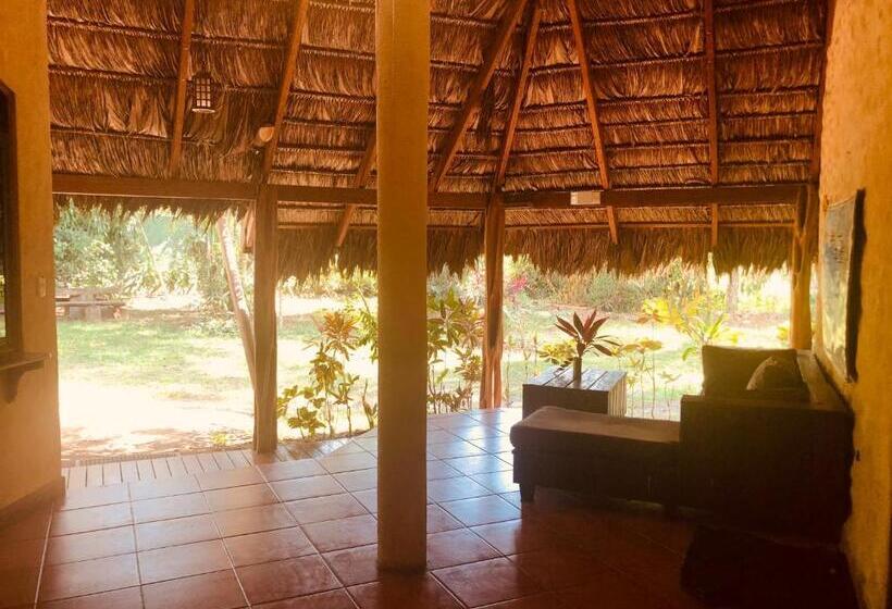 La Palapa Hut Nature Hostel