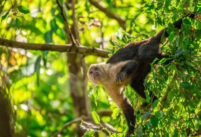 La Palapa Hut Nature Hostel