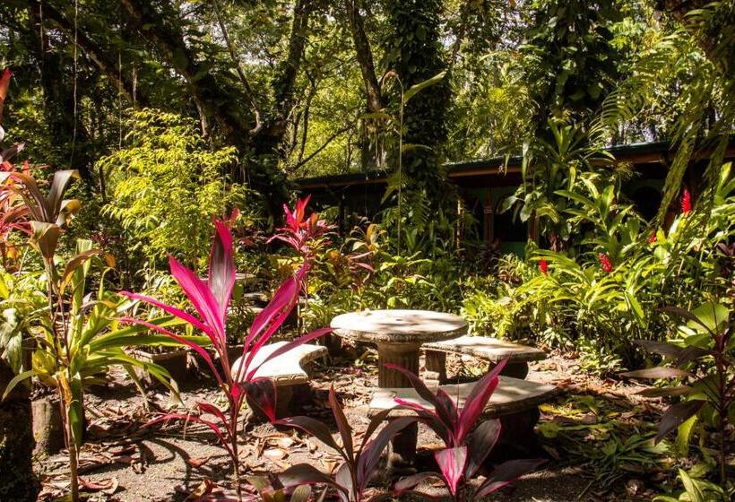 La Palapa Hut Nature Hostel