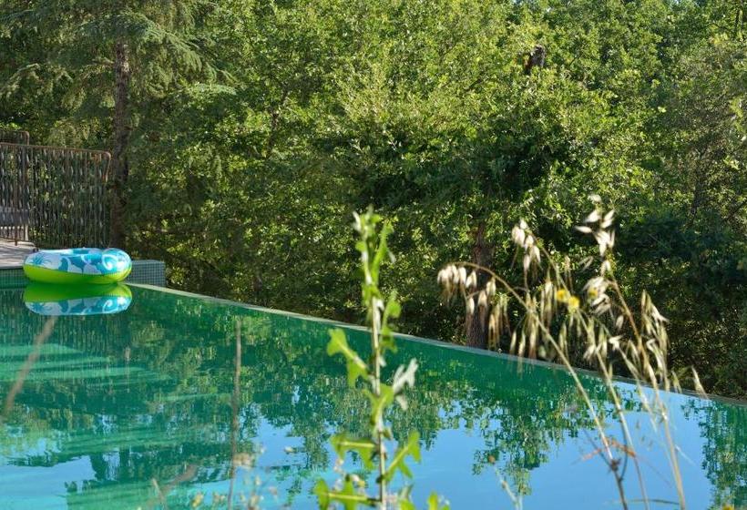 민박 Sous Les Oliviers Jacuzzi Studios De Standing Tout équipés