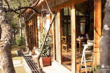استراحتگاه Zone Connect Manali