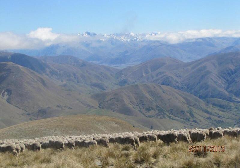 호스텔 Dunstan Downs High Country Sheep Station