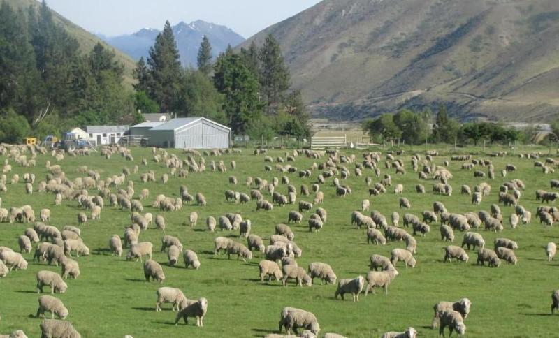 호스텔 Dunstan Downs High Country Sheep Station