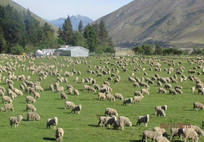 호스텔 Dunstan Downs High Country Sheep Station