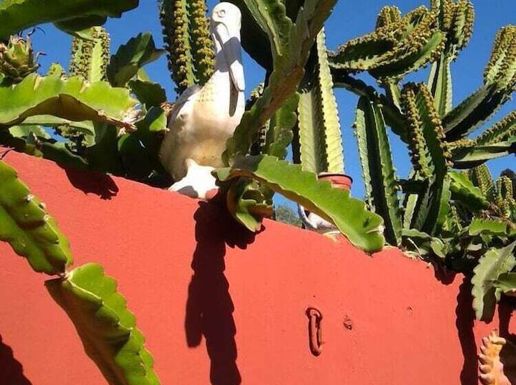 旅馆 Ensenada Backpacker