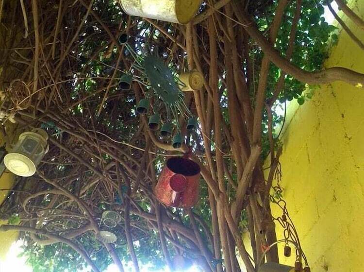 旅馆 Ensenada Backpacker