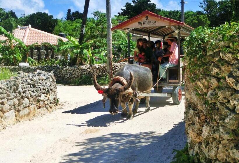 הוסטל Taketomijima Guesthouse And Je Taime