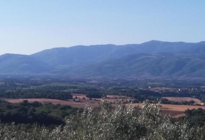 ベッドアンドブレックファースト Azzurre Beb