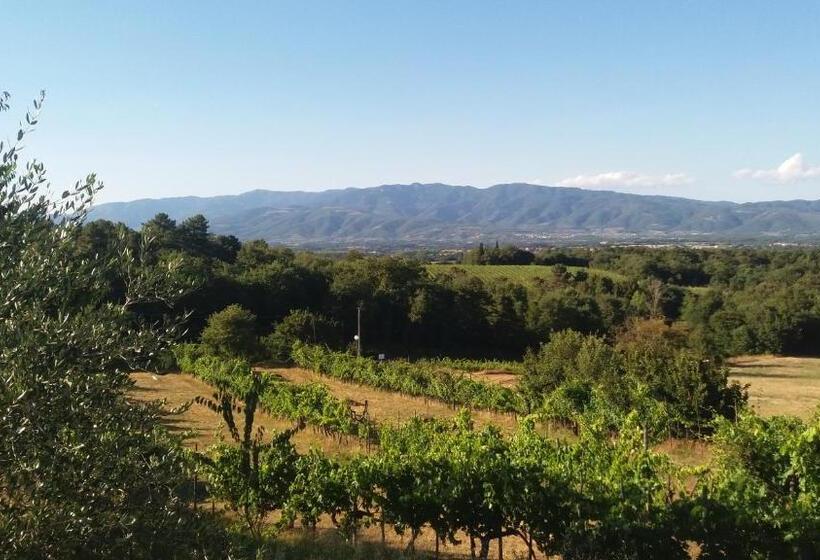 ベッドアンドブレックファースト Azzurre Beb