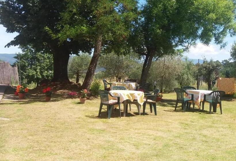 ベッドアンドブレックファースト Azzurre Beb