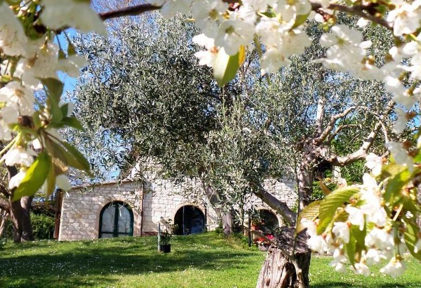 צימר Campo Del Mare