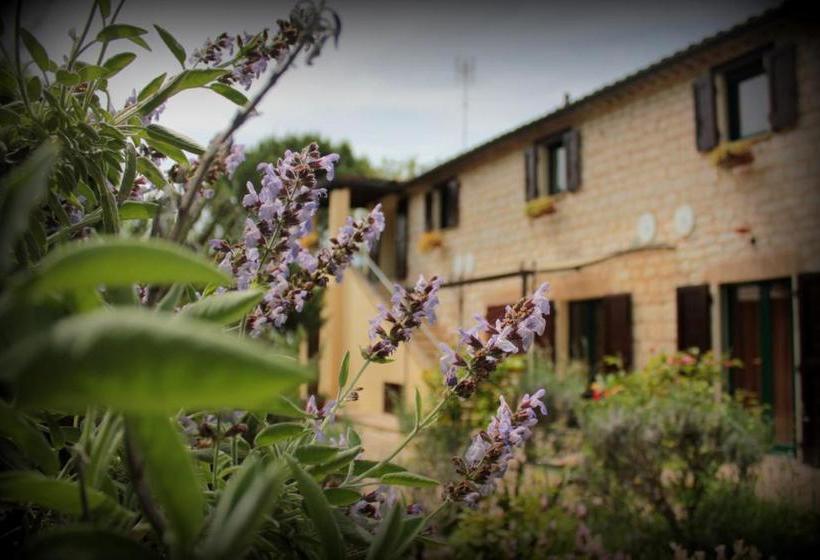 צימר Campo Del Mare