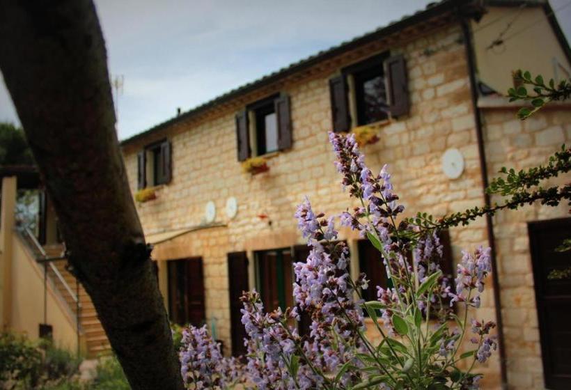 צימר Campo Del Mare