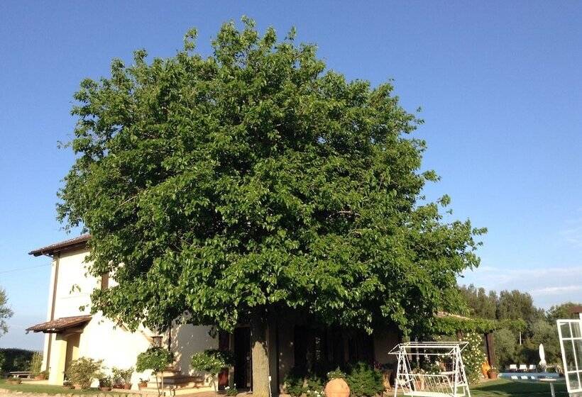 مبيت وإفطار Casa Tentoni   Guest House