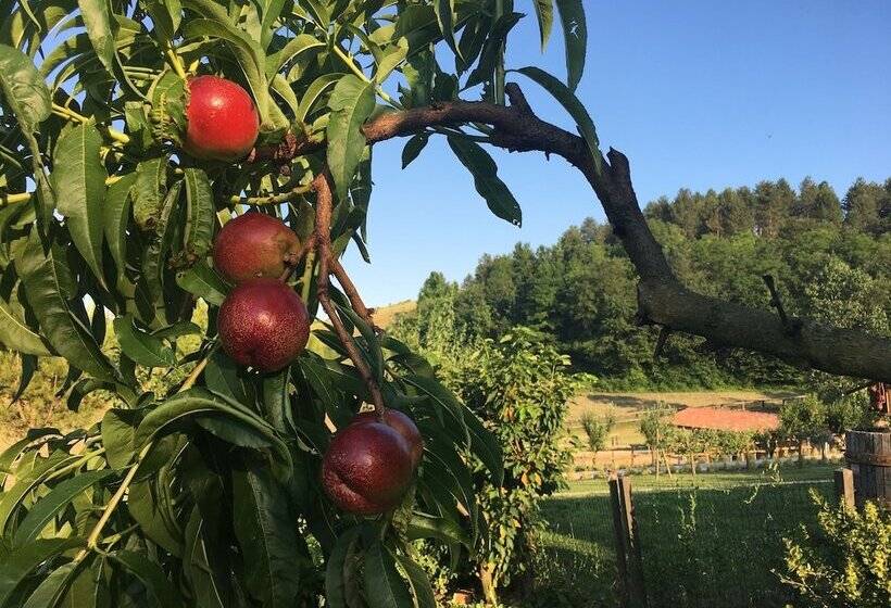 مبيت وإفطار Cascina Castagneto