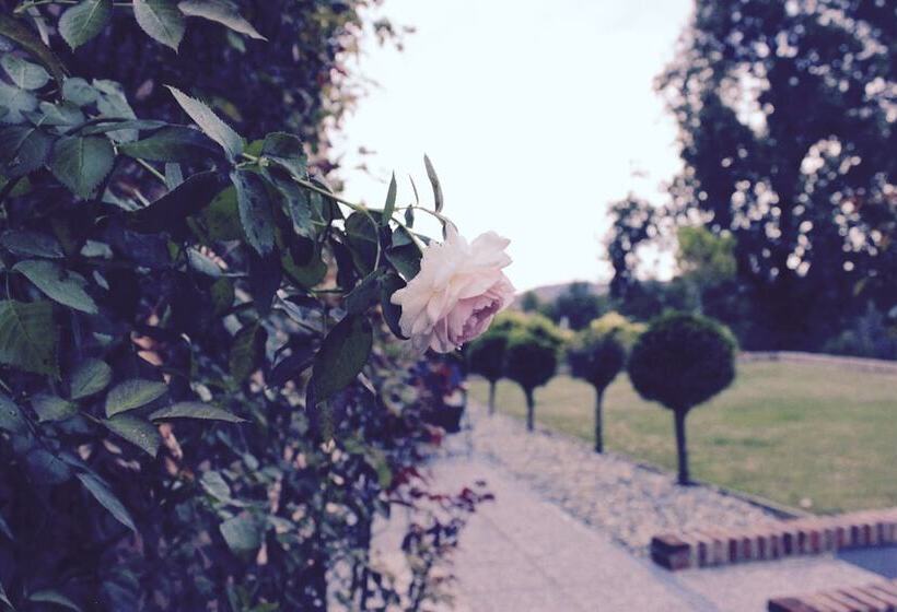 مبيت وإفطار Cascina Castagneto