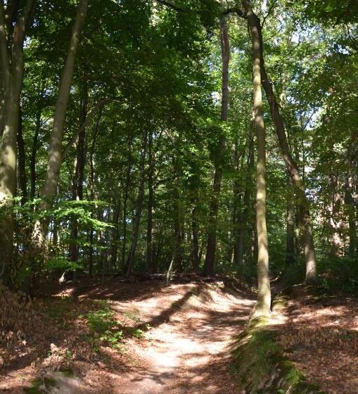 تختخواب و صبحانه De Auw Sjoekelaatfabriek