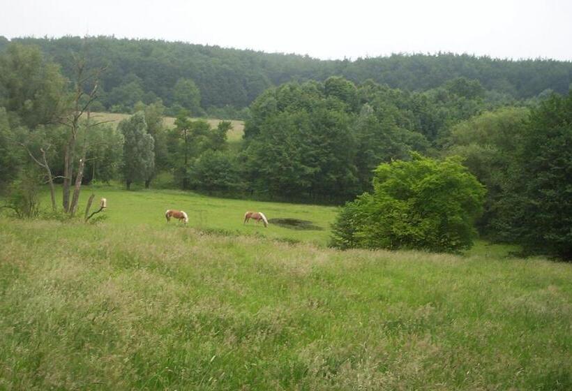 تختخواب و صبحانه De Auw Sjoekelaatfabriek