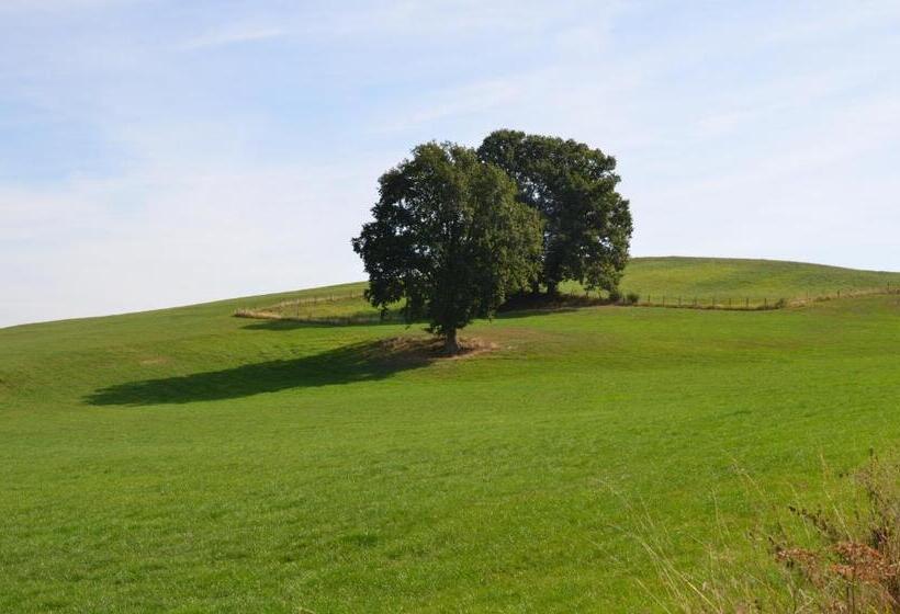 تختخواب و صبحانه De Auw Sjoekelaatfabriek