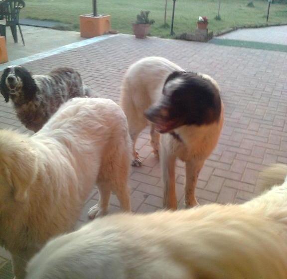 Bed And Breakfast Di Manu