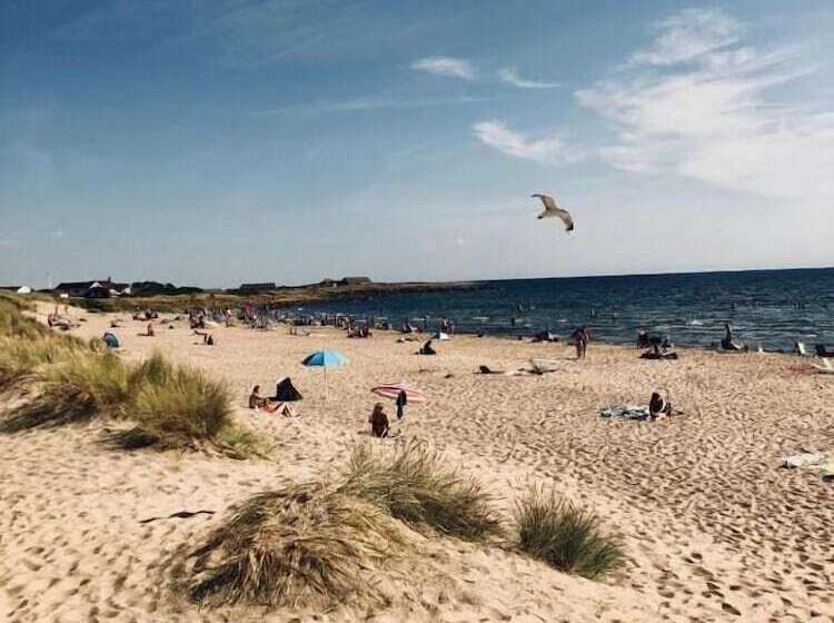 צימר Flipflop Beach Bar & Rooms