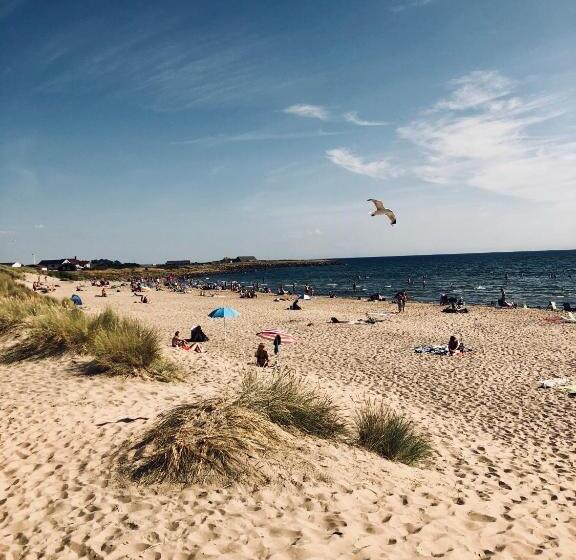 צימר Flipflop Beach Bar & Rooms