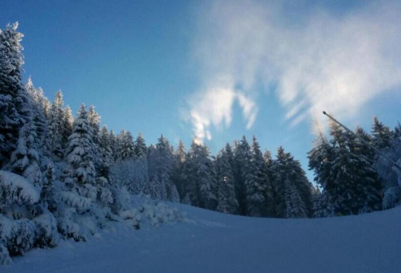 مبيت وإفطار Gasthof Zum Guten Tropfen