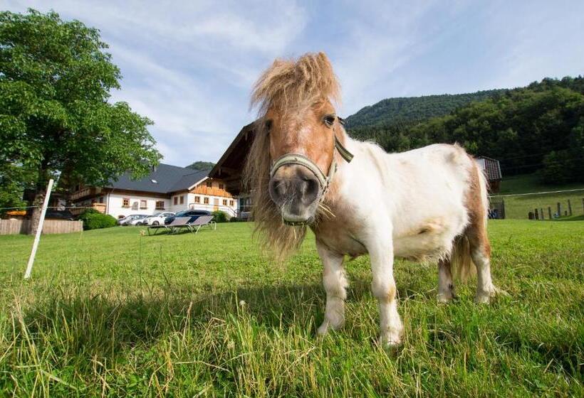 مبيت وإفطار Hauslhof