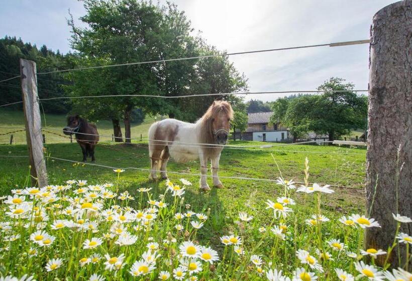 مبيت وإفطار Hauslhof