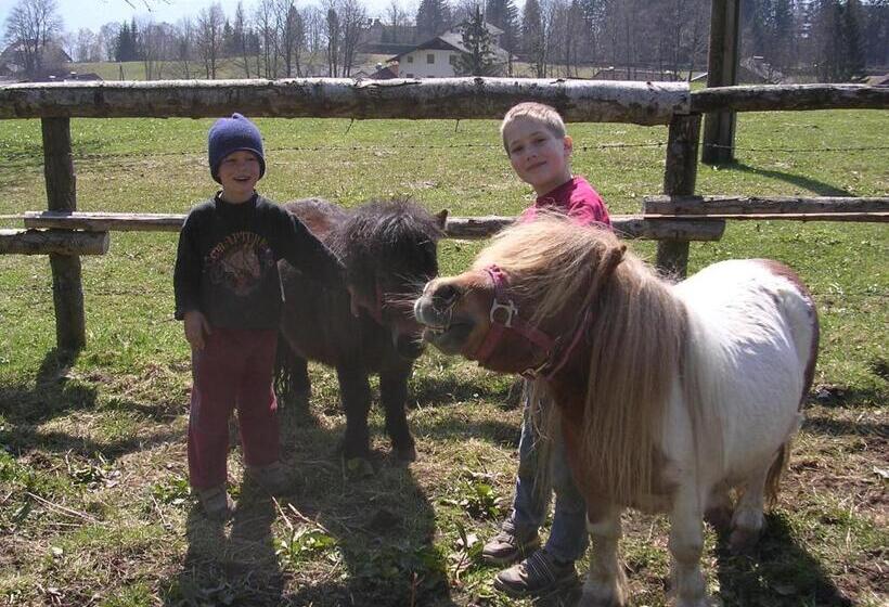 مبيت وإفطار Hauslhof