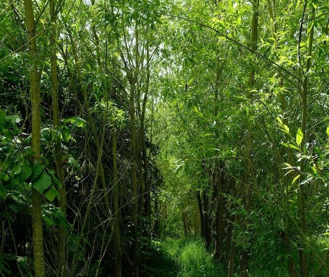 צימר La Maison Jaune à La Janaie