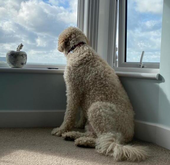 ベッドアンドブレックファースト Oceandrive