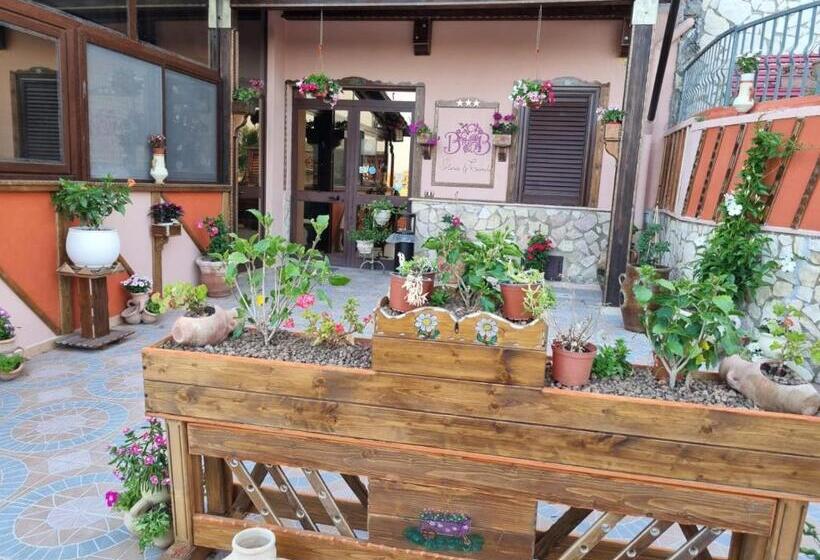 مبيت وإفطار Villa Jolanda & Carmelo