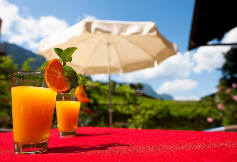 여관 Pension Hasslhof