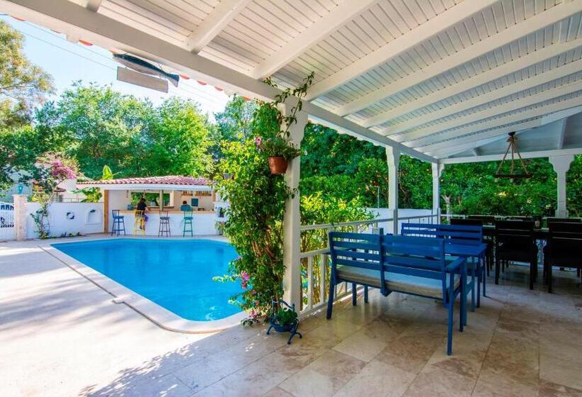 ホテル Calypso Cozy Suites