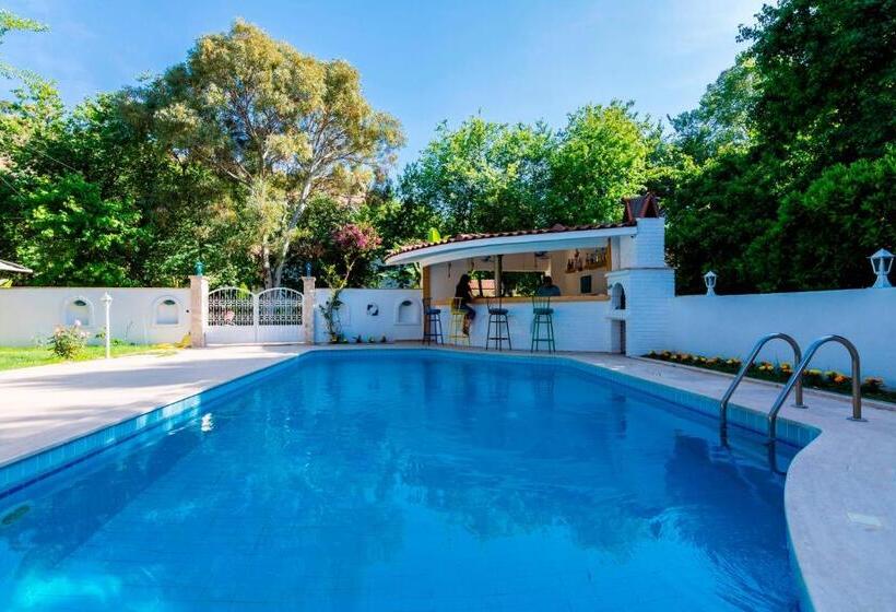 ホテル Calypso Cozy Suites